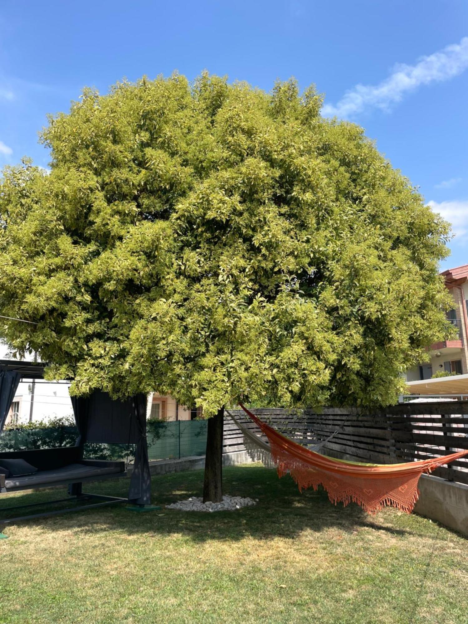 Apartmán Casa Degli Artisti Caprino Veronese Exteriér fotografie